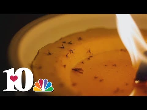 Ways you can keep yourself safe from mosquito bites