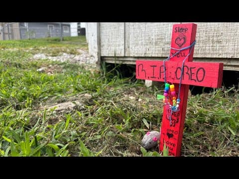 39-year-old man allegedly shot and killed a cat after it attacked him in Beech Grove