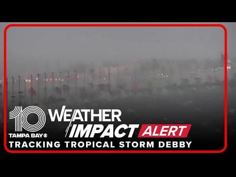 LIVE LOOK: Conditions on the Howard Frankland Bridge Sunday during Tropical Storm Debby