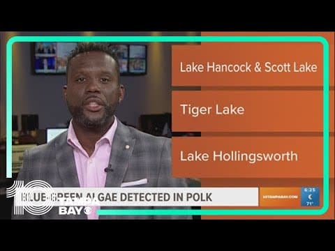 Blue-green algae was detected in these Polk County lakes