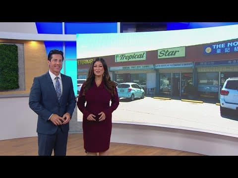 Tropical Star | Shop Local