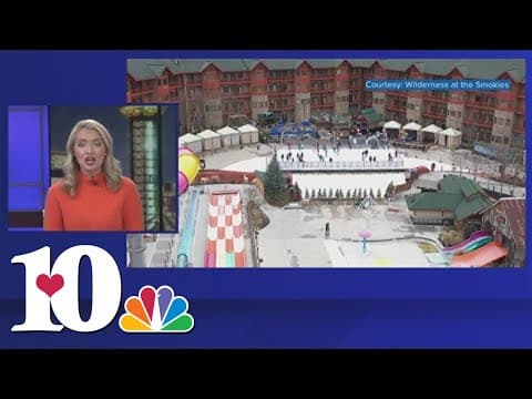 'Skate for a Cause' starts Saturday, raising money for Second Harvest Food Bank