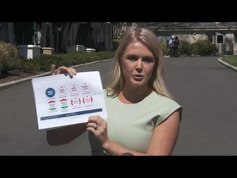 Karoline Leavitt speaks on 'Liberation Day' tariffs, downplays Trump's third term comments