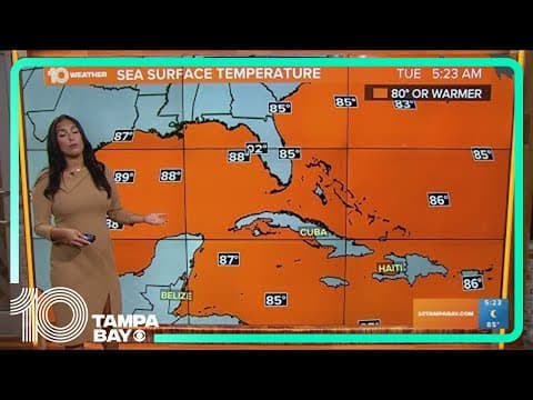 Tracking the Tropics: Still quiet in the Atlantic with Saharan dust hindering development