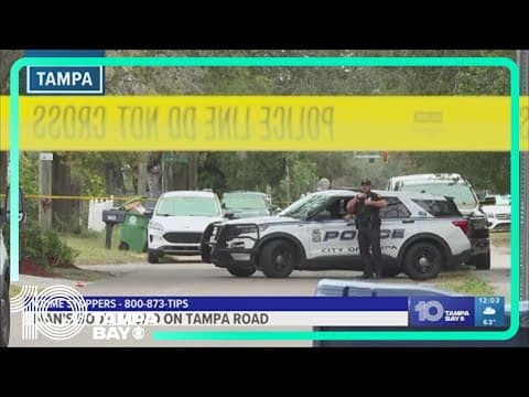 Tampa police look to identify suspect in early morning homicide