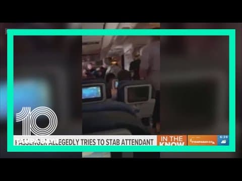 Passenger allegedly tried to stab flight attendant, open exit door on flight from LAX