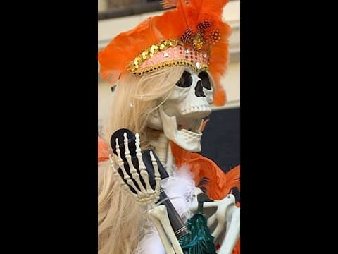 Taylor Swift-inspired Halloween display in Minneapolis