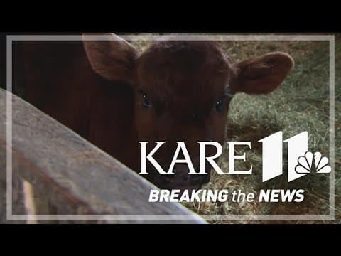 Southern Minnesota: after the snowstorm