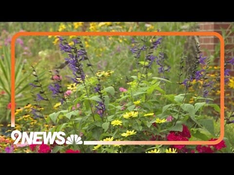 Proctor's Garden: Recommendations for late summer color