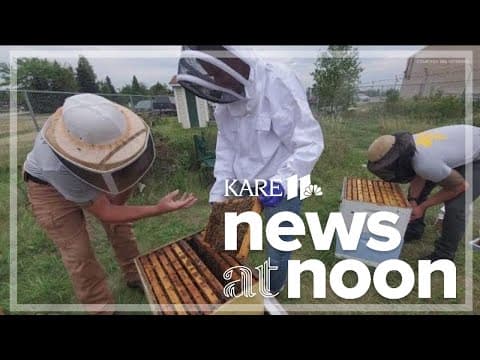 Heroes to Hives: Veterans working with bees