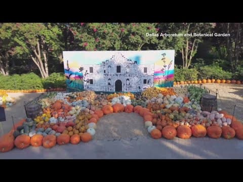 It's feeling and looking like Fall at the Dallas Arboretum