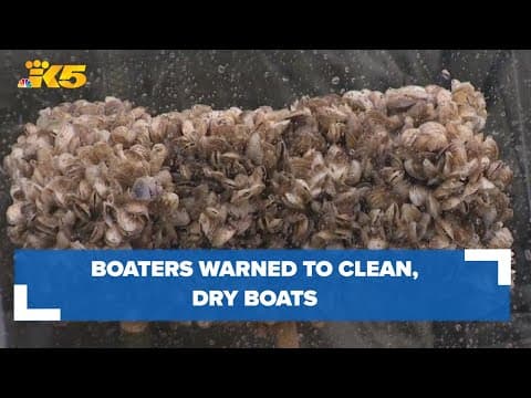 Boaters warned to clean, dry, drain boats to prevent invasive species spread