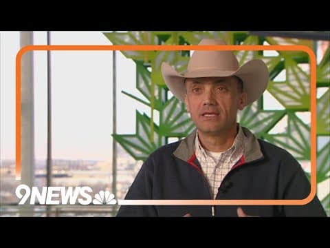 Why beef prices have climbed significantly since start of pandemic