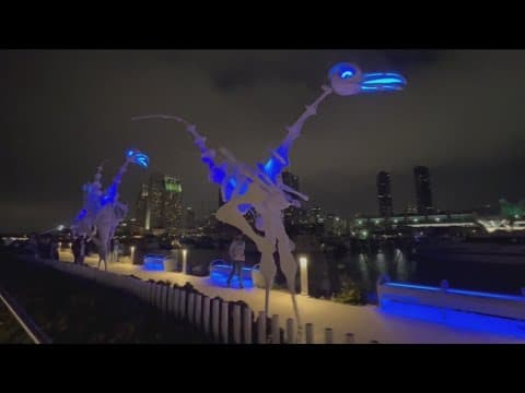 WOW Festival kicks off free art extravaganza at Rady Shell