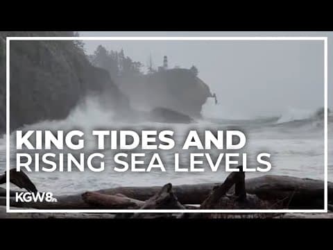 King tides offer clues about effects of rising sea levels