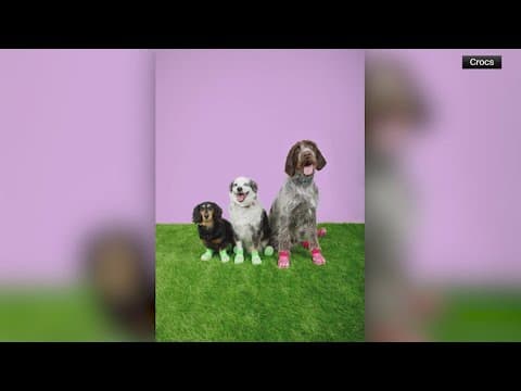 You can now twin with your pets in matching Crocs