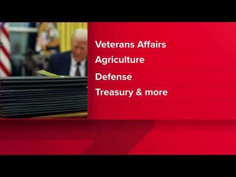 Judge orders Trump to reinstate probationary workers let go in mass firings across multiple agencies