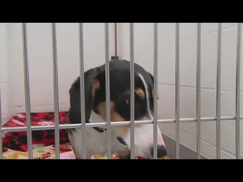 Giving back safely on Giving Tuesday