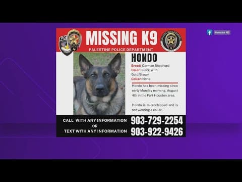 Texas police request help in search for missing K-9