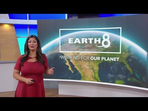 Transforming Black Friday into a more eco-friendly day