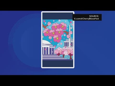 Artwork for 2024 Cherry Blossom Festival unveiled