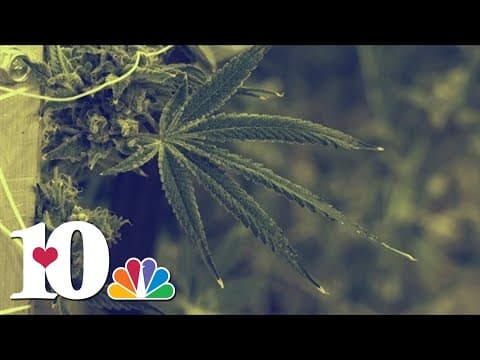 U.S. to moving marijuana to less dangerous drug