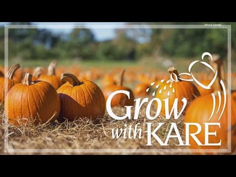 Grow with KARE: How to choose drought-tolerant vegetables for your garden