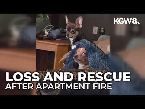 Apartment fire in Estacada displaces renters; pets lost and one dog rescued