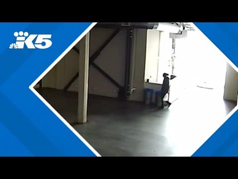 'A punch in the gut': Thieves steal $300 roll of trash bags from Seattle business