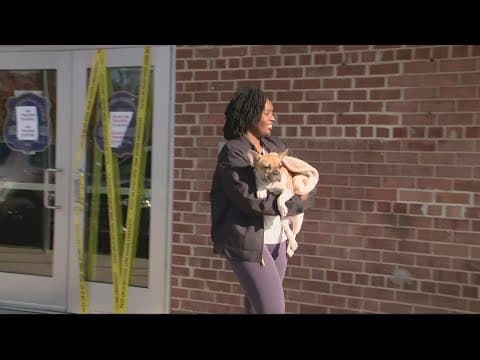 'I don't feel safe walking Hendrix' | French bulldog taken by armed man in DC reunited with owner