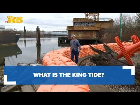 What is a King tide and what's being done to help the South Park Community?