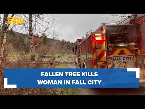 Fallen tree kills woman in Fall City