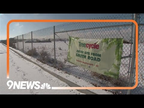 Christmas tree recycling available across Denver metro area