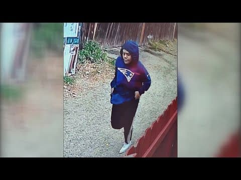 San Diego Police search for man suspected of randomly stabbing woman to death