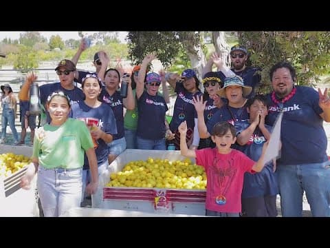 San Diego gleaning for the community