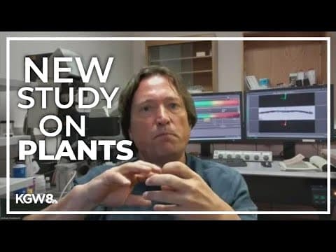 New study finds plants can sense when they're being touched