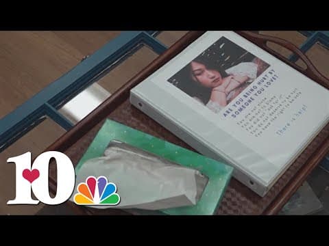 Anderson County's domestic violence court one step closer to reality