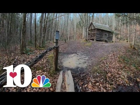 A hike on the Fighting Creek Nature Trail in the Great Smoky Mountains | 10Explores