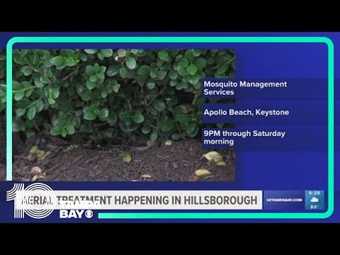 Hillsborough County to spray for mosquitoes Friday night