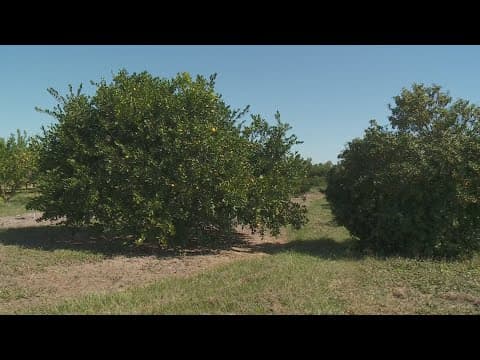 The Breakdown: Rare election this weekend will decide Soil & Water Board Seat in 5 Parishes