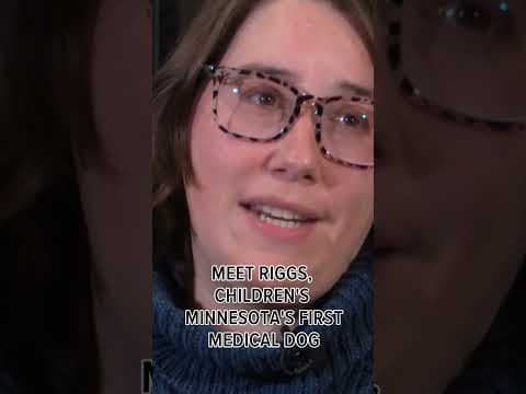 The 'dog'-ter helping Minnesota kids