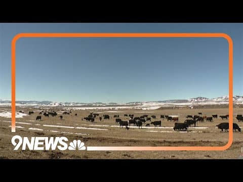 Colorado Parks and Wildlife Commission agrees to pay 2 ranchers more than $300k