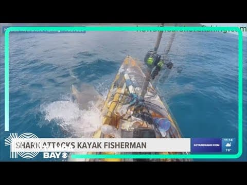 Shark attacks kayak fisherman off coast of Hawaii