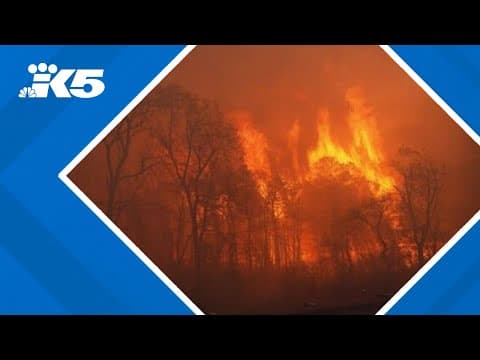 Evacuation orders lifted after New Jersey wildfire