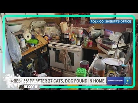 28 'neglected and suffering' animals taken from Lakeland home; homeowner charged with animal cruelty