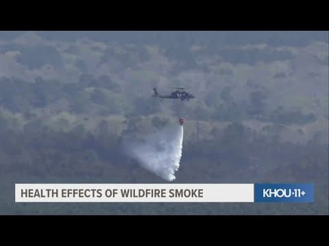 Nearly 2,400-acre San Jacinto County wildfire now 65% contained, officials say