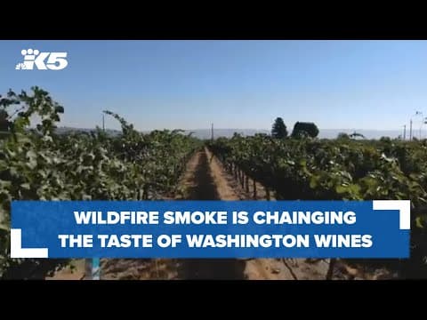 Wildfire smoke changing the taste of Washington's wines