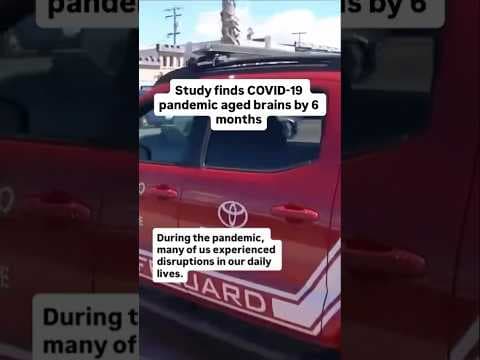 Study finds COVID-19 pandemic aged brains by 6 months