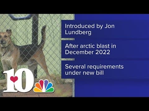 New bill defines adequate shelter for dogs