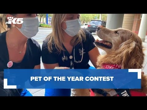 Nonprofit pet of the year contest